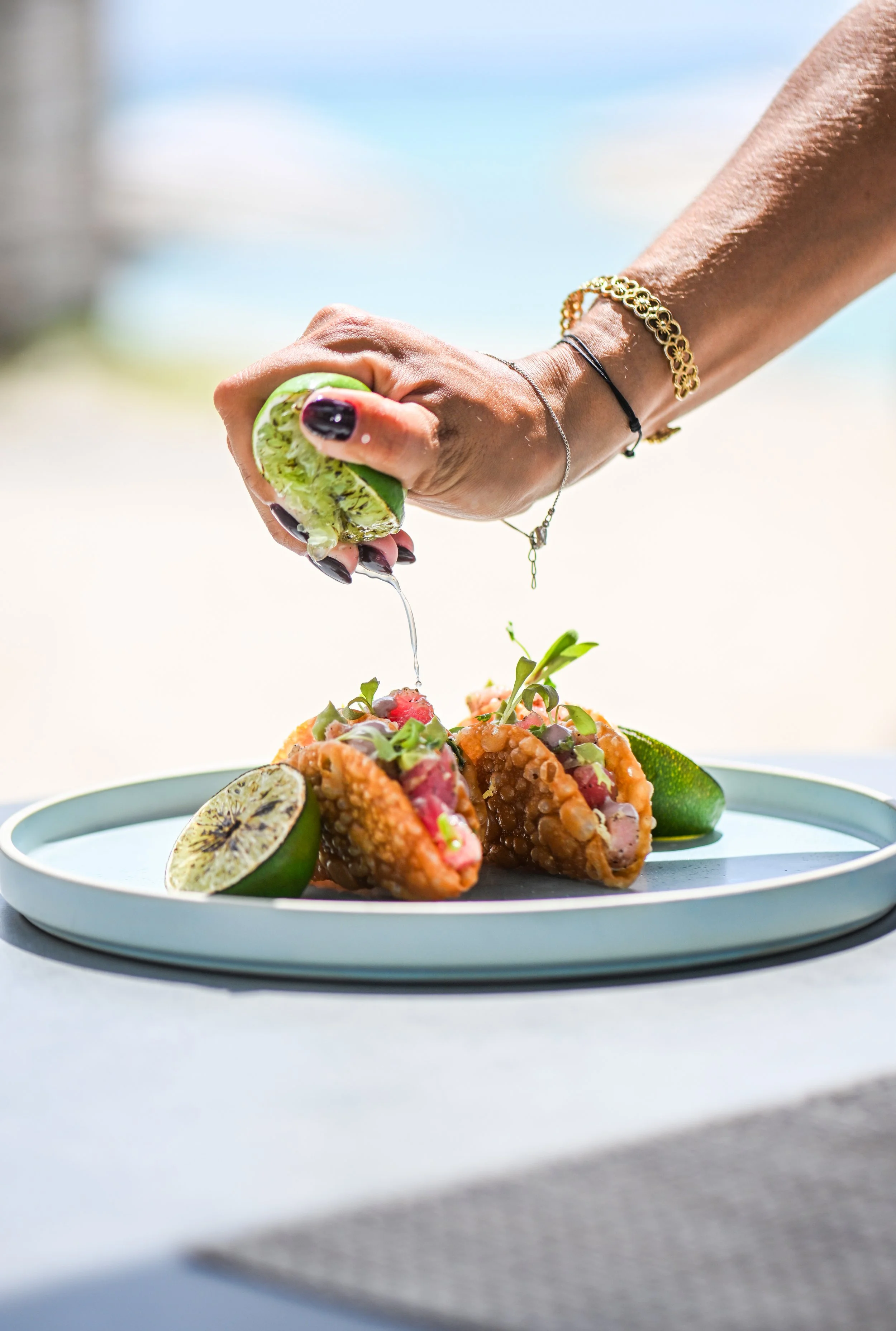 Seafood course with citrus and herb garnish